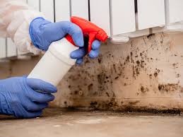 Trusted Rayne, LA Mold Prevention & Removal  Experts